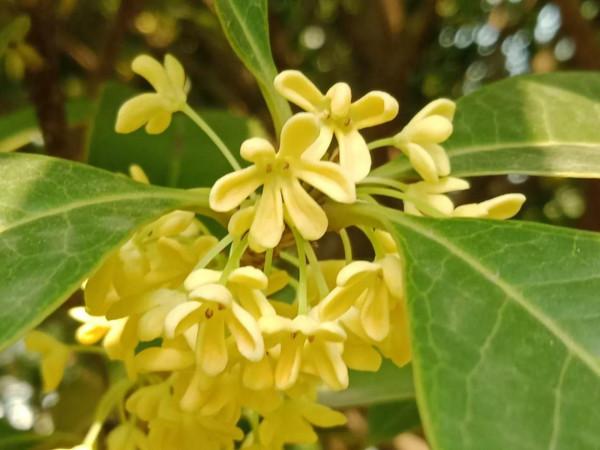 也許將來有一天，我們會像聲音一樣瞬間到達某地