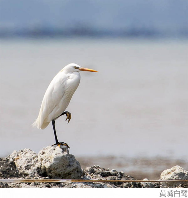 《四海》沒給的治癒，南澳島給你
