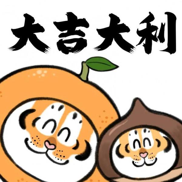 年初一，萌虎拜年啦