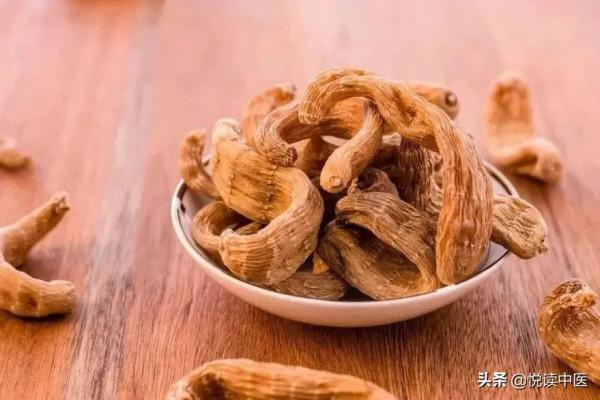 天麻:祛外風、息內風之能手 天麻:祛外風、息內風之能手