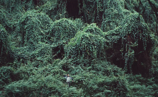 央視表揚6部醫療題材電影，易烊千璽獨佔2部，《我不是藥神》最佳