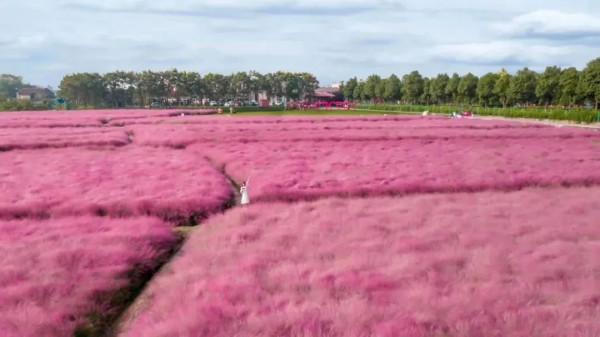 「打卡湖南」你瞧,湖南的秋天都在這 「打卡湖南」你瞧,湖南的秋天都在這