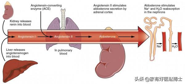 “血管老化”的五大常見徵象,您有嗎?及時干預,哪些藥物可選? “血管老化”的五大常見徵象,您有嗎?及時干預,哪些藥物可選?