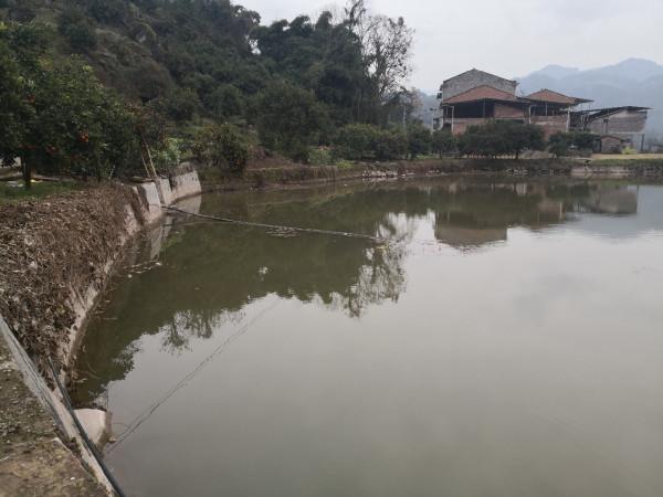 春節釣魚有鯽也有鯉，大吉大利&hellip;&hellip;