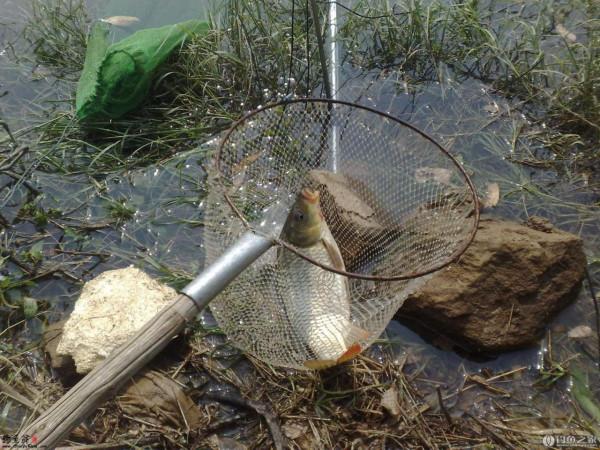 只要能夠感知到魚咬鉤的訊號,我們就完全可以擺脫對釣具的依賴 只要能夠感知到魚咬鉤的訊號,我們就完全可以擺脫對釣具的依賴