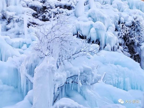 帝都冬日原來還有這些地方可以玩！其中不少一年才美一次