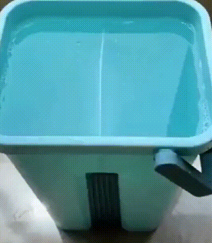 獨居6年！一人獨居有狗相伴，家居佈置得簡單精緻，太羨慕了