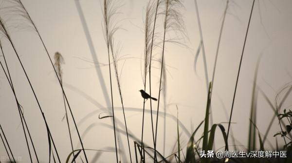真實世界的任督二脈，醫生怎麼看！（下）