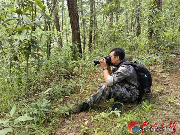 嗨!牛魔王 嗨!牛魔王