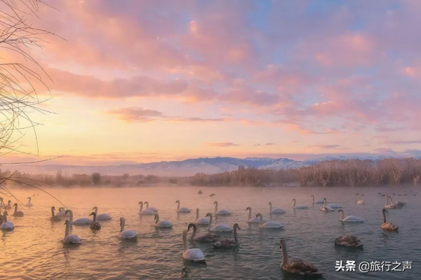 冬季的喀納斯很少有人發現它的美，整個畫面都是純粹的克萊因藍