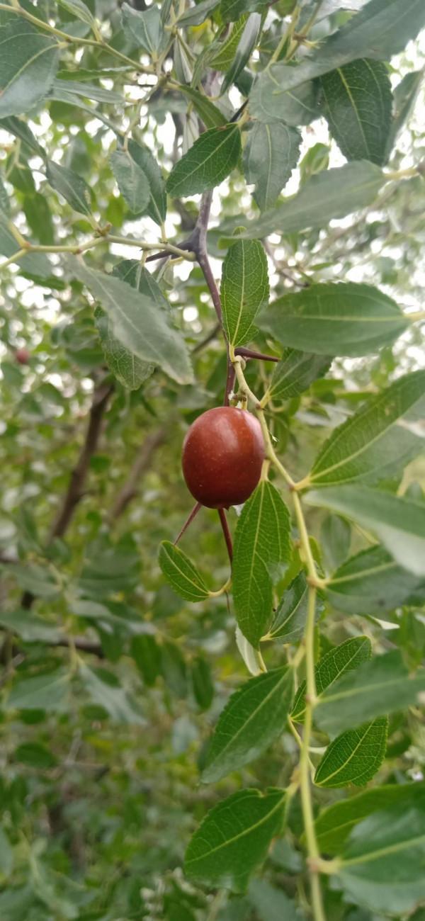 心念一轉 地獄也是天堂，這是傳統武術帶給我的，有沒有同感的朋友