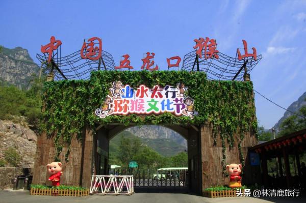 河南與山西交界,有座冷門又好玩的猴山,藏有3800只野生獼猴 河南與山西交界,有座冷門又好玩的猴山,藏有3800只野生獼猴