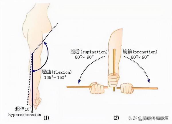 改善肘關節活動度的四個練習