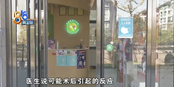 術後幾天查出貓瘟,跟手術有沒有關係 術後幾天查出貓瘟,跟手術有沒有關係