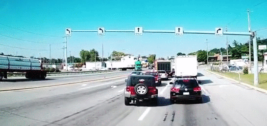 90個神奇照片，剛出生的小刺蝟，大白鯊的驚人尺寸，水上麻將桌椅