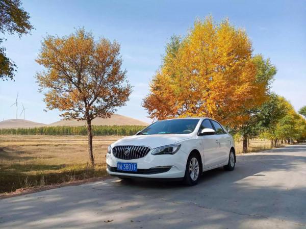 滿目金黃，又想壩上草原了（二）