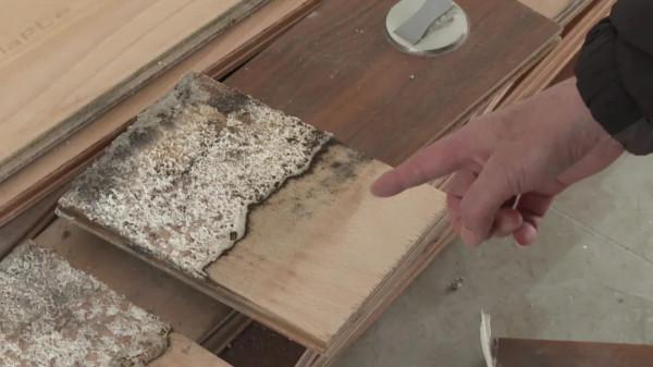 新房滲水問題多 精裝房成“拆遷”房