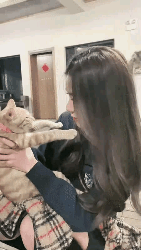 讓王思聰瘋狂的孫一寧