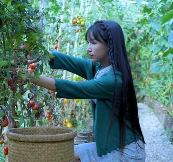 李子柒驚豔寫真集 李子柒驚豔寫真集