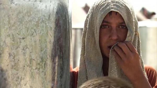 民主病了嗎?西方學者訪談錄 民主病了嗎?西方學者訪談錄