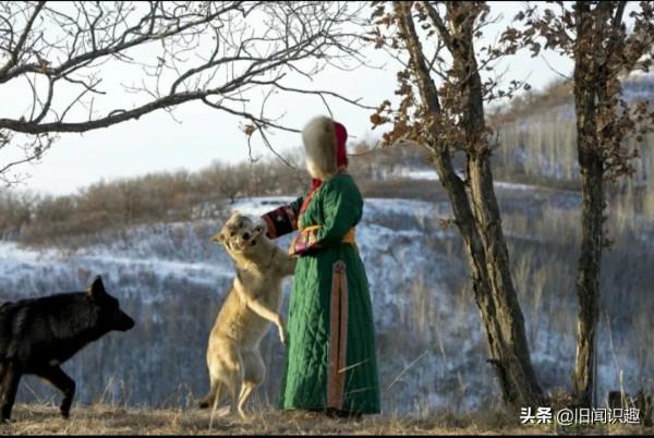 北方的狼族之蒙古狼