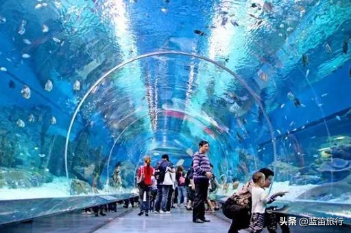 吃完年夜飯如何高效燃脂？適合一家老小快速燃脂的主題樂園推薦