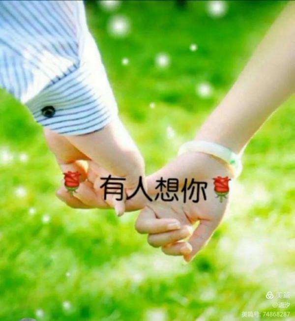 ﹤我喜歡看油菜花&gt&semi;