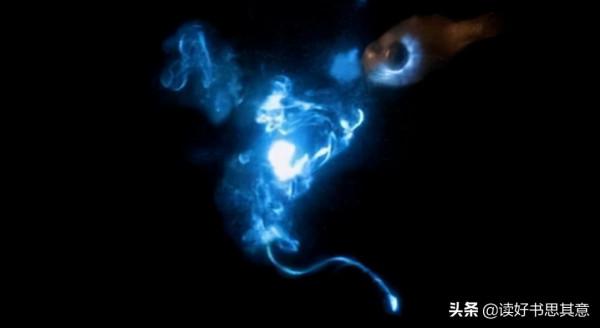 世界上有能夠放電的生物,比如電鰻,為什麼沒有會噴火的動物? 世界上有能夠放電的生物,比如電鰻,為什麼沒有會噴火的動物?