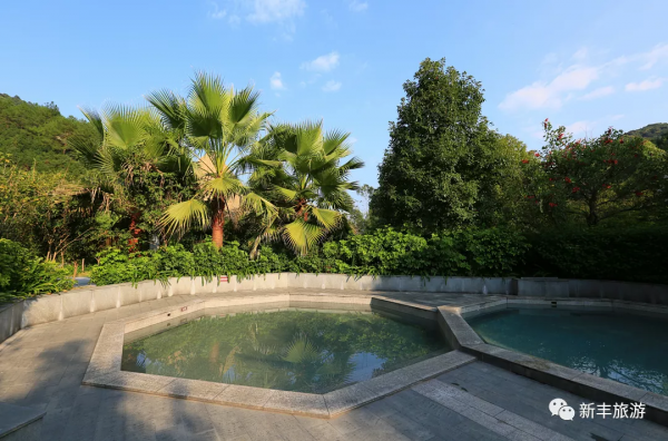 楓林似火、紅葉如霞，是新豐邀你來賞楓的專屬訊號