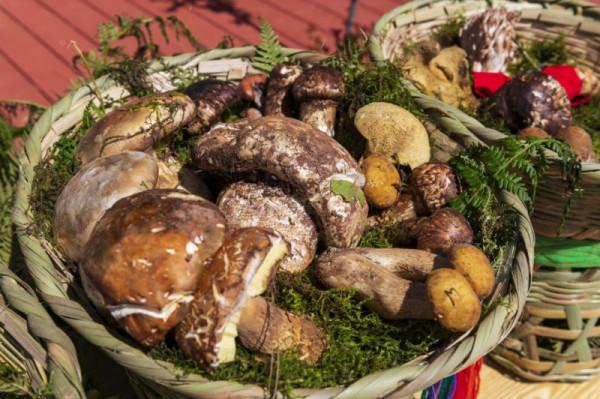 七夕 | 來自七彩雲南的一封情書 七夕 | 來自七彩雲南的一封情書