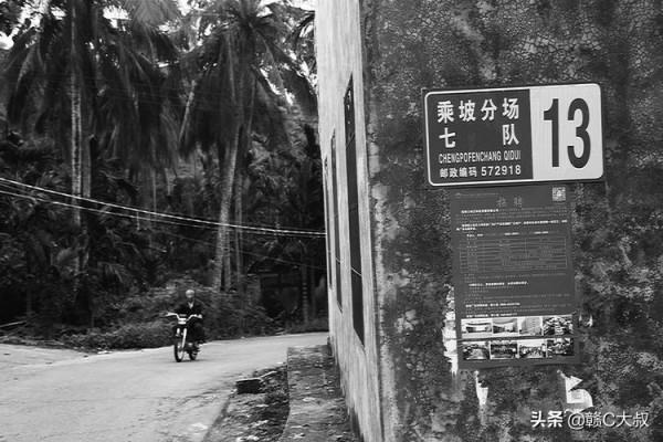 40年的記憶——海南國營乘坡農場行