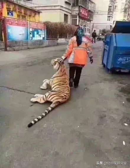 黃曉明baby婚變的原因找到了?哈哈離婚複合都網友說了算 黃曉明baby婚變的原因找到了?哈哈離婚複合都網友說了算