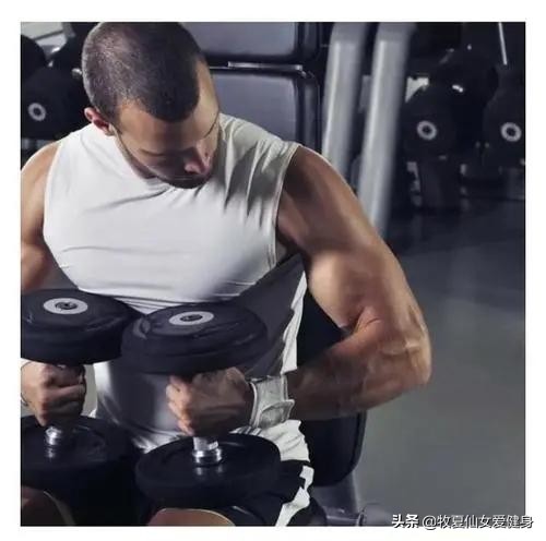 啞鈴應該如何鍛鍊？學會4大動作，可幫你進一步練出肌肉線條