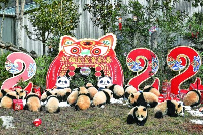 熊貓寶寶拜年啦