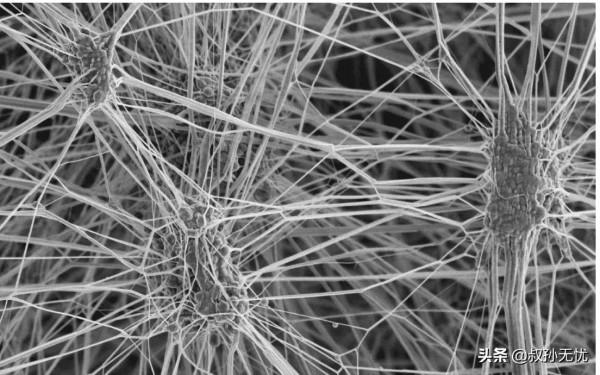 為何戶外旅行者喜歡買貴的野外裝備，而不喜歡結實耐用的軍用裝備