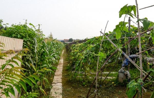 斯巴魯森林人帶你打卡北京夏季最值得去的地方