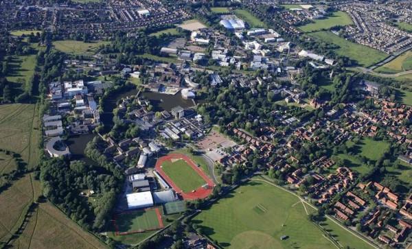 “惹不起”的鴨子，大學裡的網紅