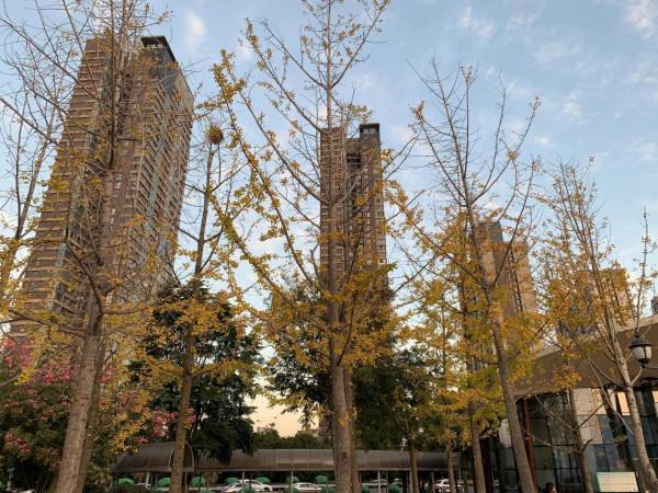 冬天來了，長長膘好過冬