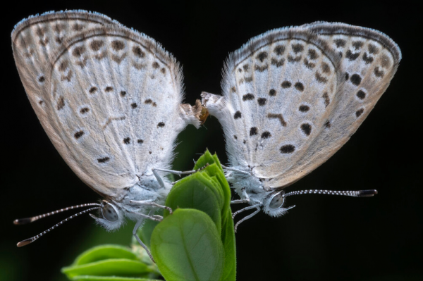 43歲保姆3個月內加薪兩次,月薪達到10000元,保姆:我心慌了 43歲保姆3個月內加薪兩次,月薪達到10000元,保姆:我心慌了