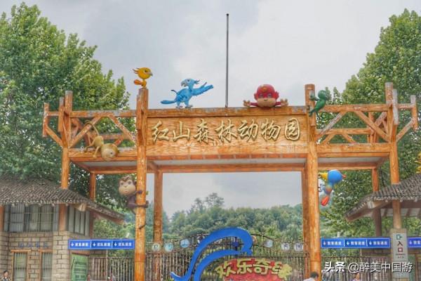 探訪紅山森林動物園,森林景觀獨特,動物資源豐富,適合親子游玩 探訪紅山森林動物園,森林景觀獨特,動物資源豐富,適合親子游玩