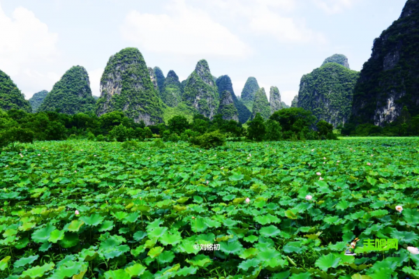比鳳凰靜謐，比桂林迷人，廣西這座長壽小城，看完想去隱居幾天