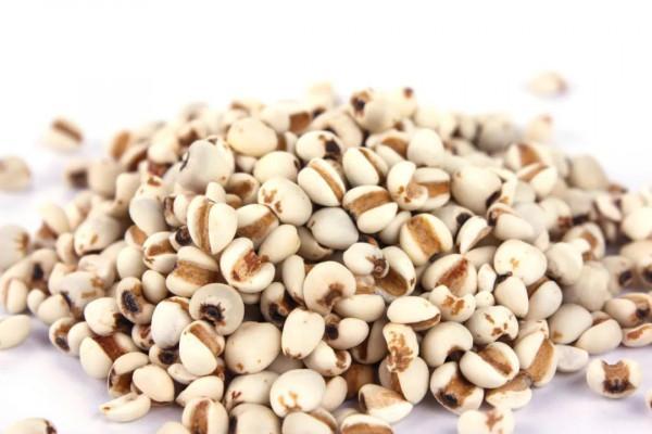 溼氣太重,如何趕走它?用這4味中藥泡水喝,或會有意外收穫 溼氣太重,如何趕走它?用這4味中藥泡水喝,或會有意外收穫