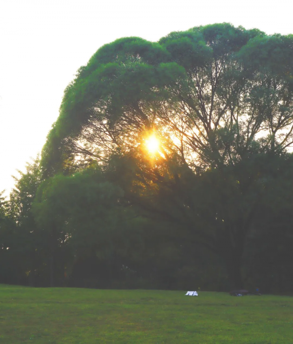 關閉倒計時！今冬北京不可錯過的限定浪漫！