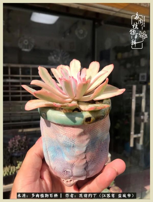 你儘管善良,福報都在路上 你儘管善良,福報都在路上