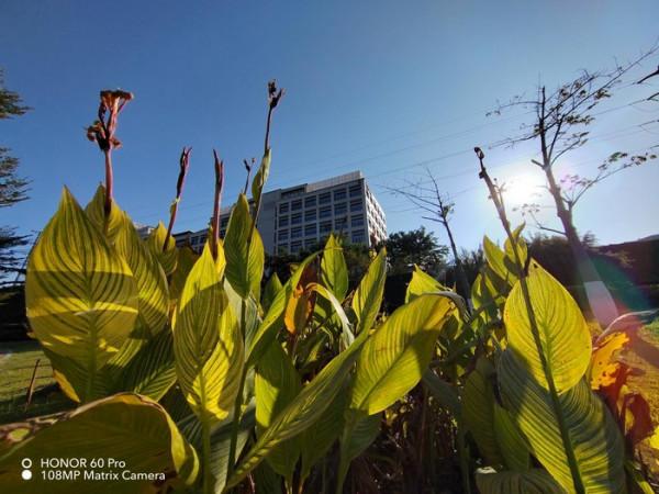 想要輕薄和大電池？這三款手機值得考慮