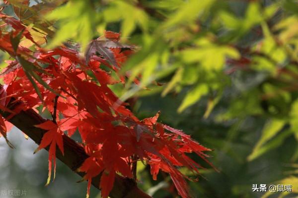《尉繚子》原文 譯文(十七) 《尉繚子》原文 譯文(十七)