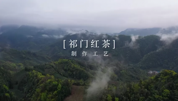 祁門紅茶製作工藝