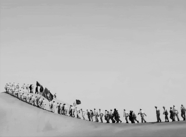 部隊陷入絕境，空中忽然飛過一群鳥兒，嚮導大喜：咱們有救了