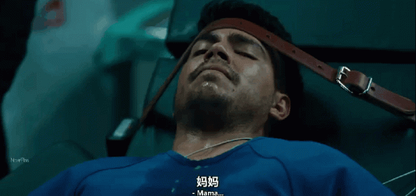 又來一部都市版《黃石》美劇,太狂野了 又來一部都市版《黃石》美劇,太狂野了