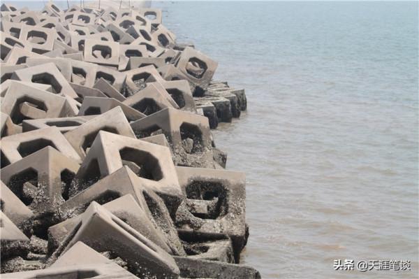 塘沽免費公園值得遊，順其自然地體驗，領略不一樣風景
